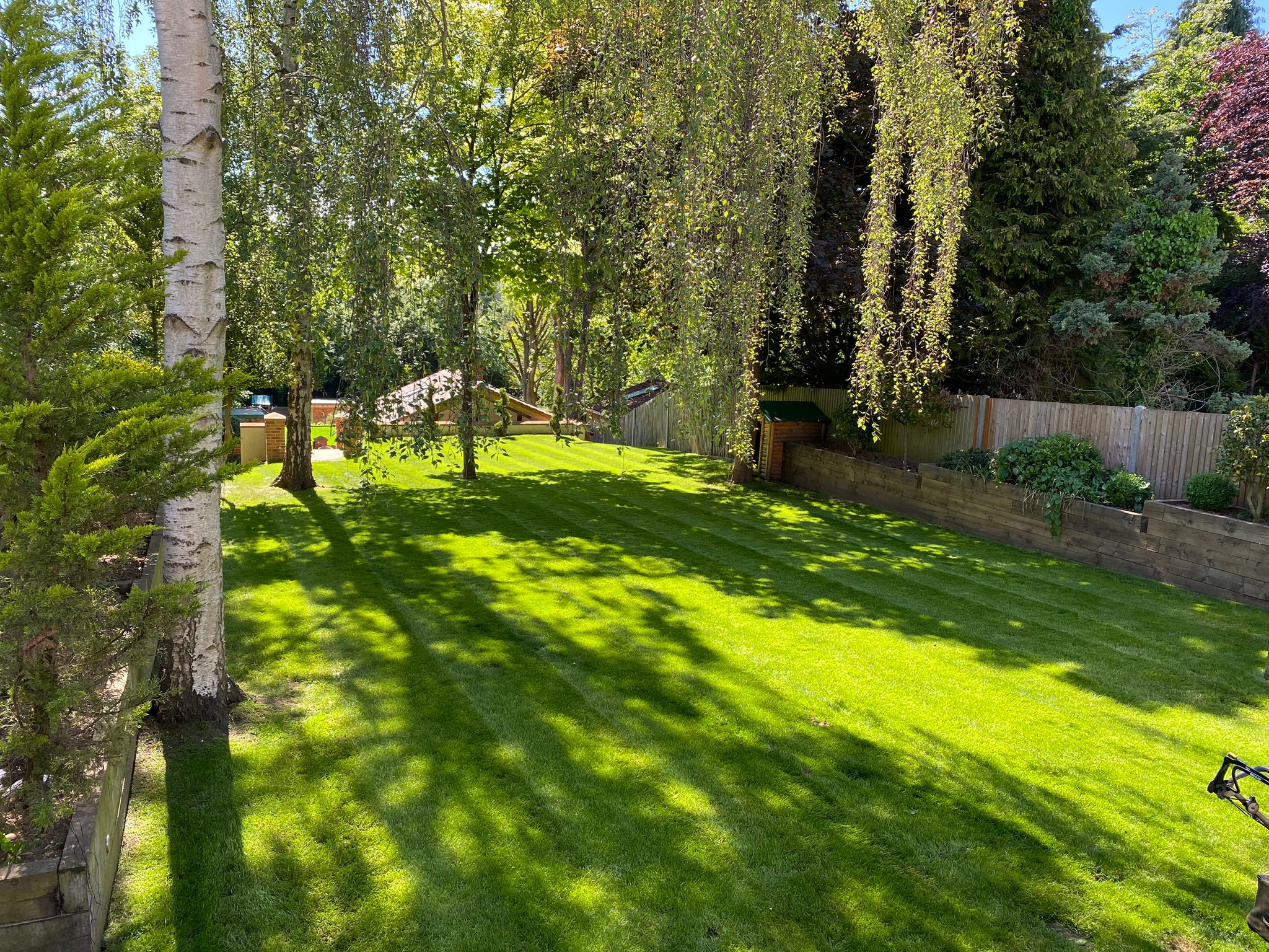 Lush, green lawn. Garden with natural shade from trees. Raised planters